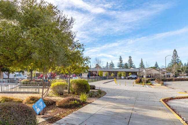 Students loading zone at Oak Knoll Elementary School in Menlo Park.