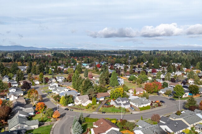 Lakepointe is a tranquil living surrounded by beautiful homes and greenery.