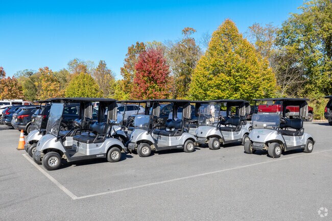 Golf carts line the paths at Riverview Country Club near Chestnut Hill.