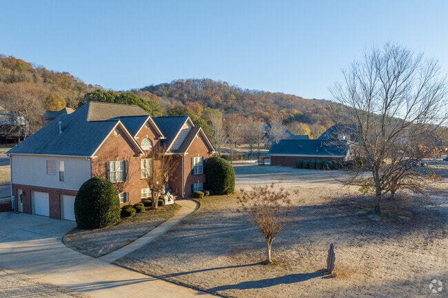 Take a stroll down the quiet streets of Springville.