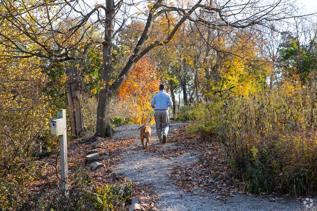 There are many parks in the Outer Campbell neighborhood where locals can walk their dog.