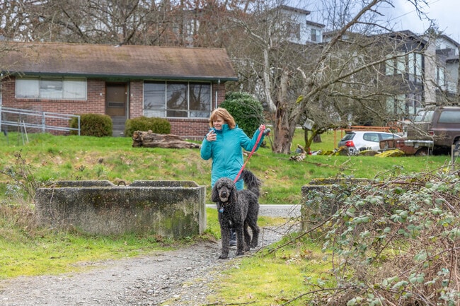 The Eastrail trail in Kennydale is a popular spot for residents to take their dogs on walks.