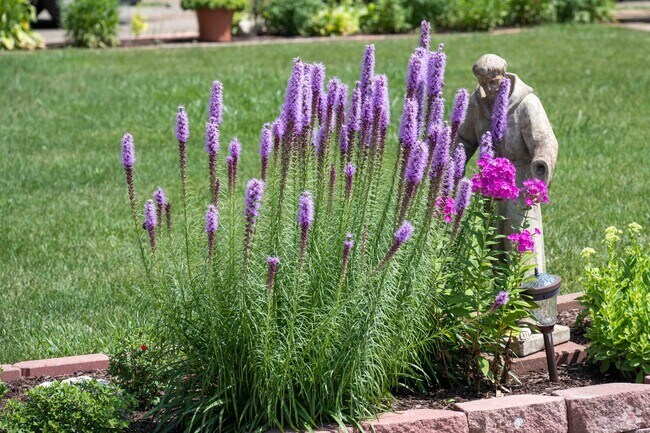 In the summer beautiful flowers can be seen all around the Garden Hills area.
