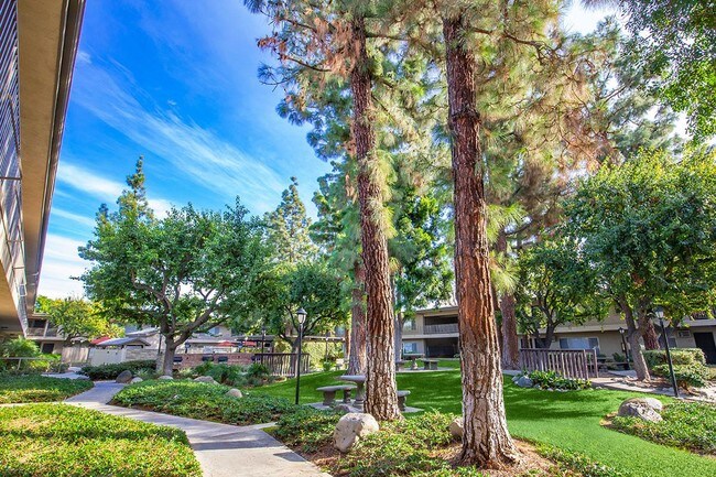 Saddleback Pines Apartment Homes, Fullerton, CA 92833 - photo 2
