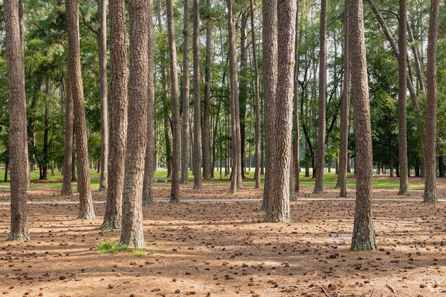 Sesquicentennial State Park offers wooded trails and a family-friendly lake.