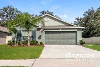 10242 Strawberry Tetra Dr, Riverview, FL 33578