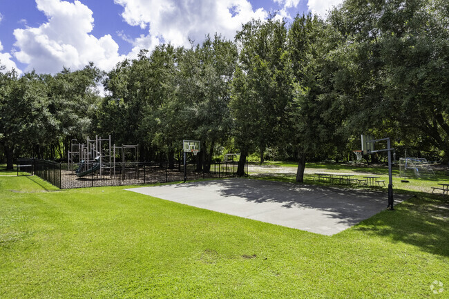 Trace Academy offers a vibrant playground and sports courts where students play and excel.