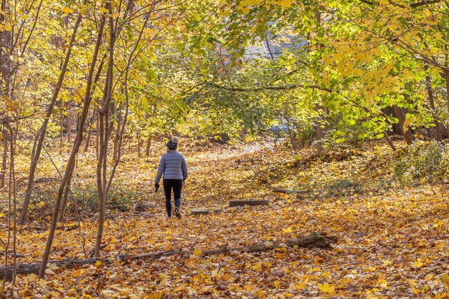 Hunt Woods Park is a natural reserve for walking and jogging.
