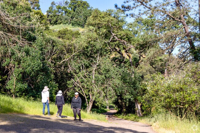 Alum Rock Park offers miles of hiking trails in East Foothills.