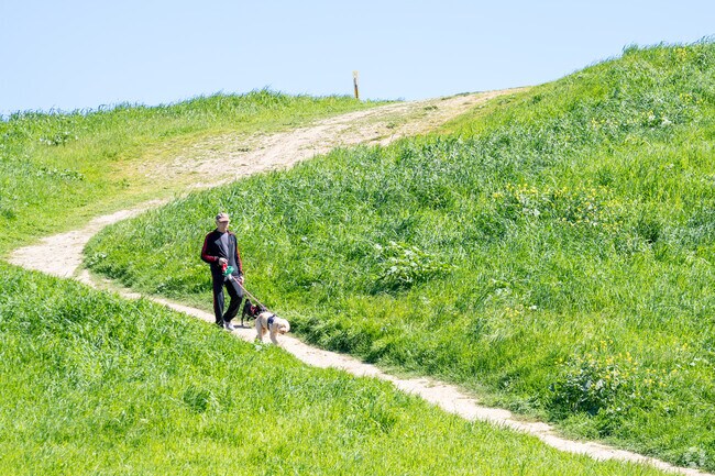 Man and dog share a bond in Bedwell Bayshore park's embrace.
