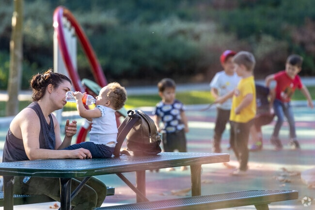 Cherry Park is the perfect family destination for fun in the sun.