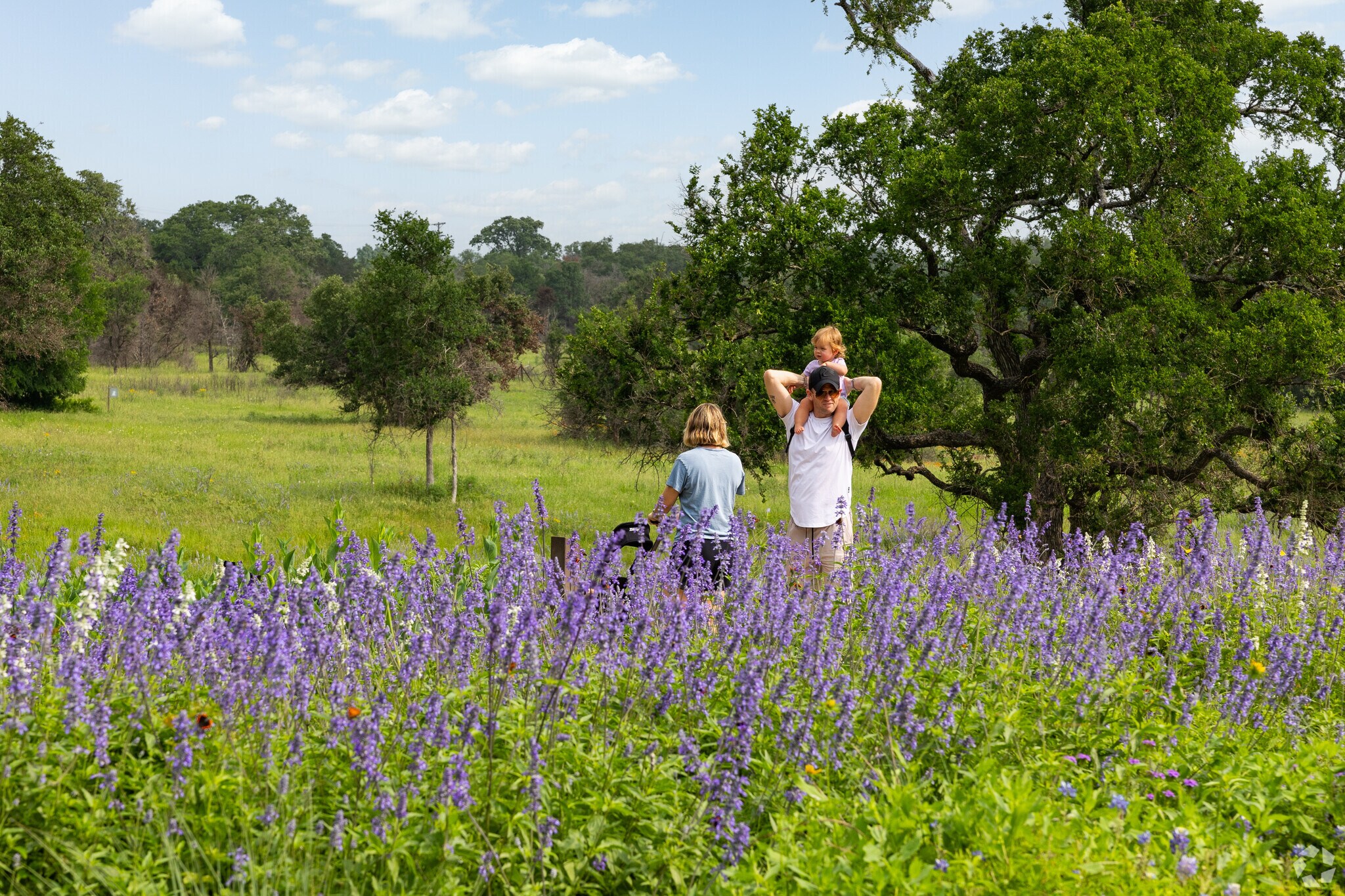 Families can take a stroll through the gardens at the Lady Bird Wildflower Center near Circle C.