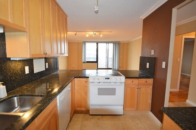50 Longwood Ave unit 820, Brookline, MA 02446 - photo 6