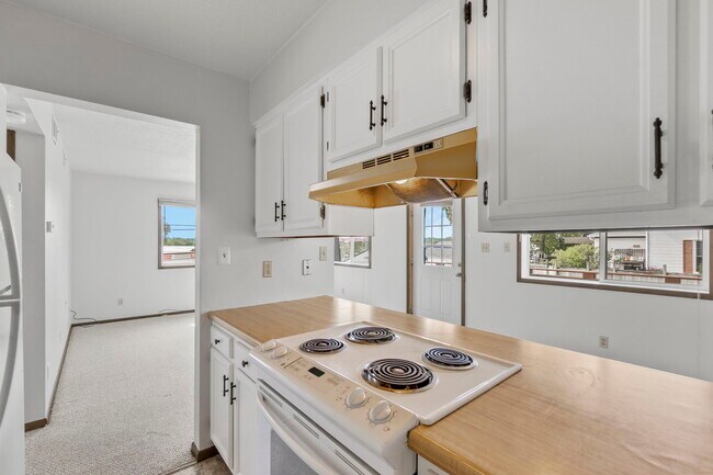 810 E 18th St unit 810, Cedar Falls, IA 50613 - photo 7