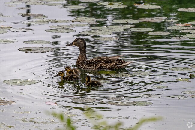 Residents can take in beautiful views around the Pineview neighborhood.