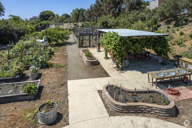 The JCS - Cedar Cove in Encinitas is a parent-choice charter school.