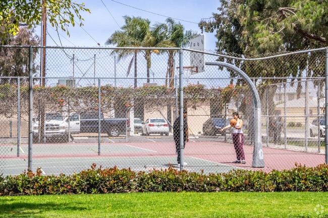 Wilson Park has basketball courts perfect for practicing your shot.