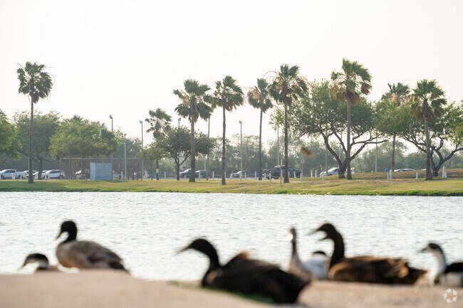 Murillo is located in the subtropical South Texas region of the United States.