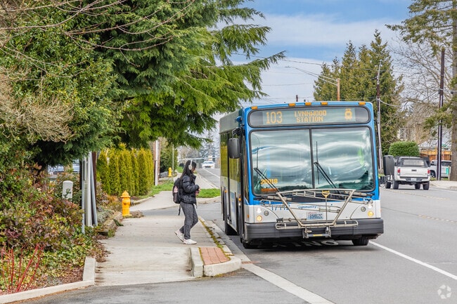 Puget Sound Transit bus stops can be found throughout the Spruce Hills neighborhood.