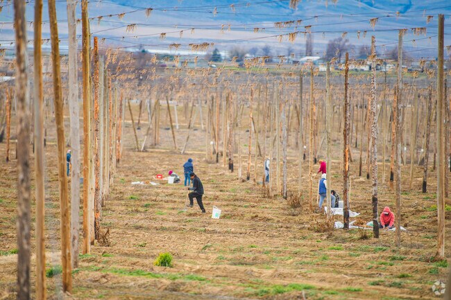 Agricultural work is part of the Toppenish way of life.