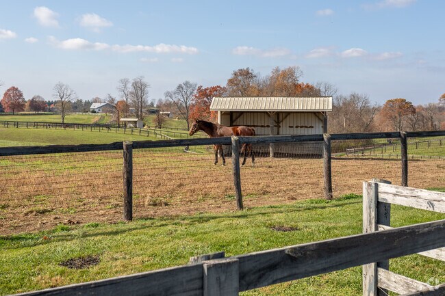 Horses are a common sight in Verona.