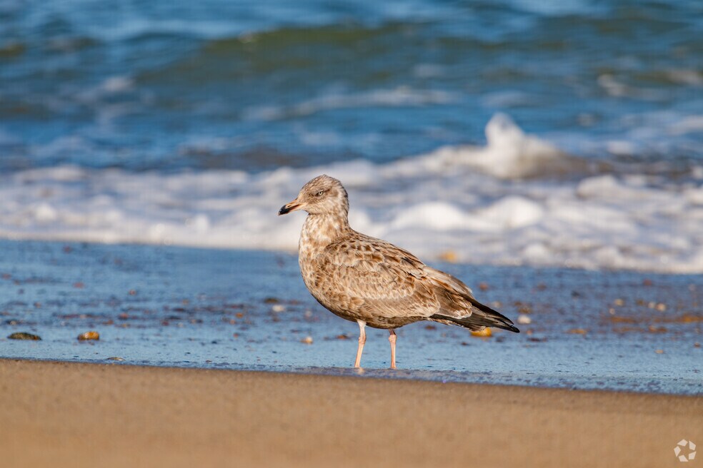 Eastham_1010624_FX_120125_V1