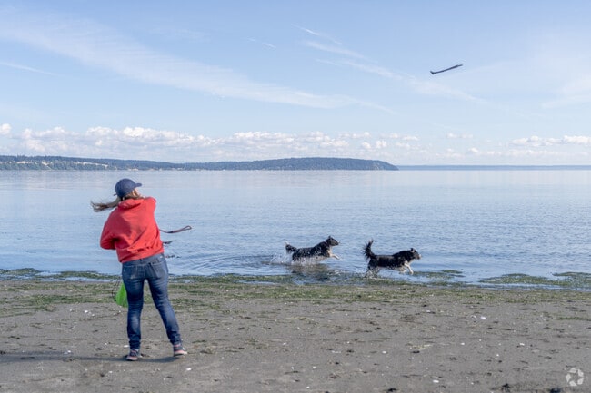 Play fetch with your dogs at Double Bluff Beach in Langley.