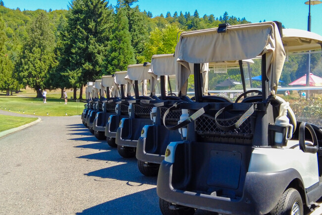A line of golf carts await at Maplewood Golf Course.