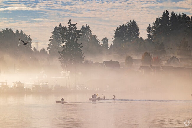 Rowers get an early start in the morning fog by Murphy's Landing Marina.
