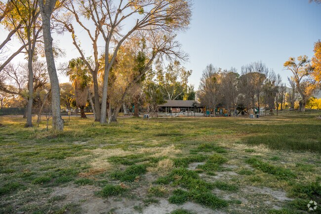 Wide grass fields at Covington Park offer space for soccer and other outdoor games.