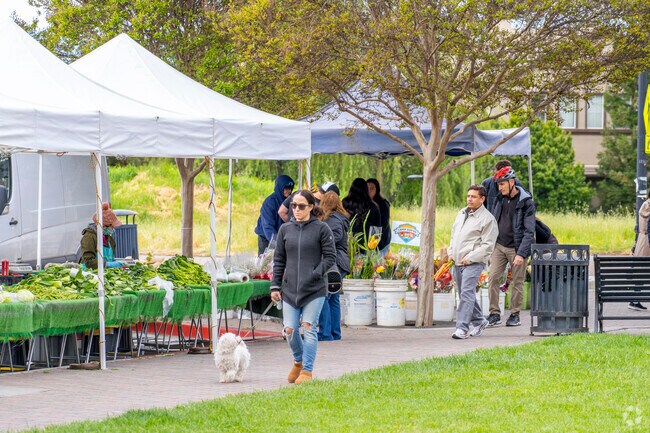 The Evergreen Farmers Market has fresh produce, meats, and flowers.