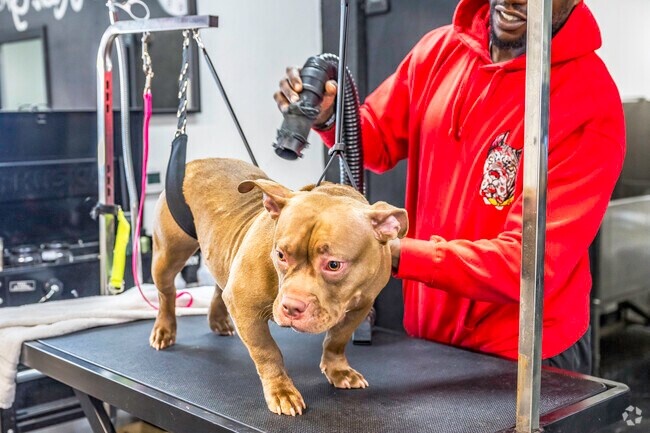 Your pooch will love getting pampered at The Rich Groomer in Frates Ranch.