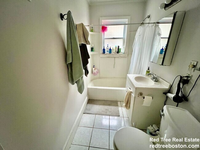 14 Stockwell St unit 1, Roxbury Crossing, MA 02120 - photo 7