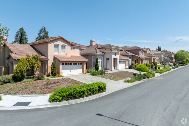 Mediterranean Revival homes in Brooktree feature stucco walls, tile roofs and arched architectural details.