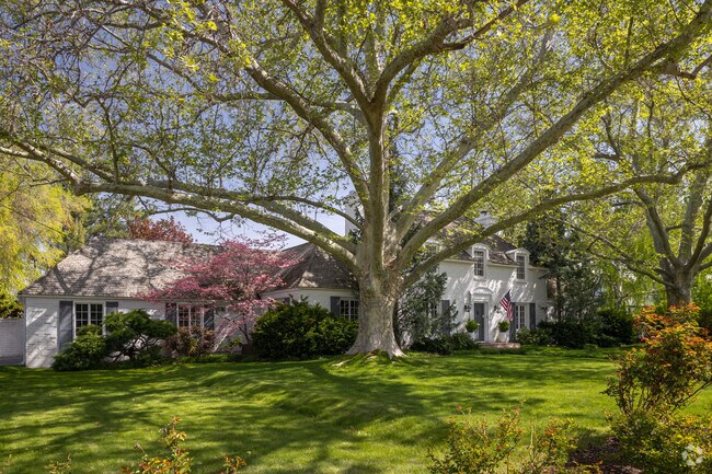Mature trees dangle over many homes in the Central Rim.
