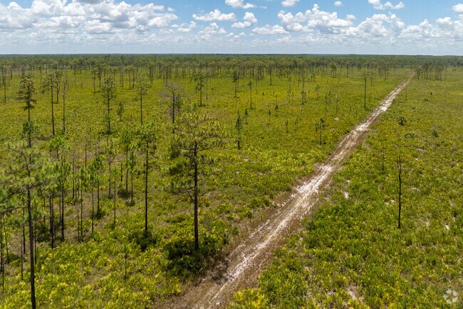 Highlands Hammock State Park has miles of birding trails.