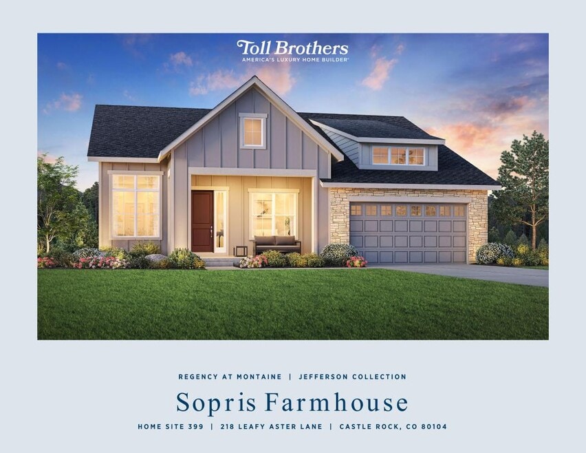 218 Leafy Aster Ln, Castle Rock, CO 80104 - photo 1