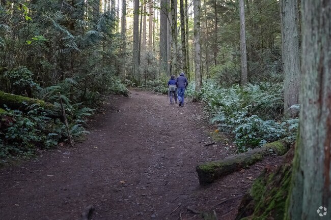 Meadowdale residents enjoy the lush trees and trails in a neighborhood park.