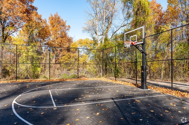 Play a pick up game at the basketball courts of Earl Township Park.
