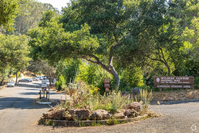Wildcat Canyon Regional Park is a popular destination for local residents.