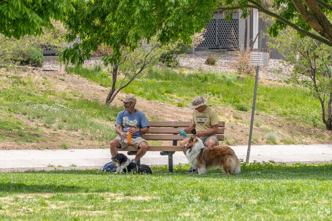 Find a great spot for picnics and outdoor fun on the expansive grass field at Academy Hills Park.