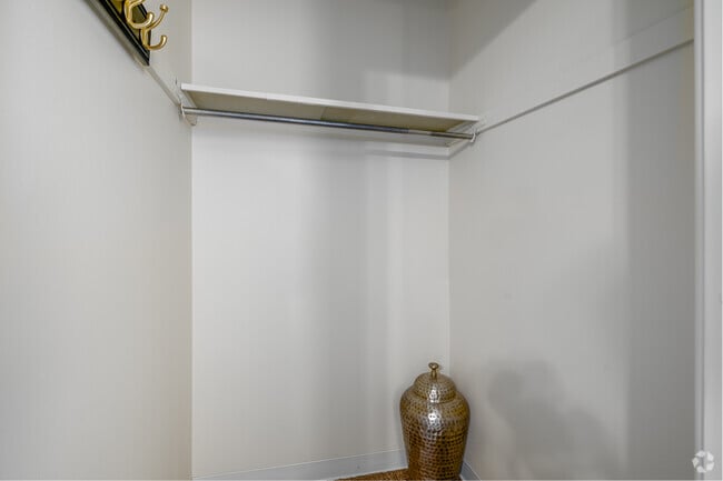 1BD, 1BA - 600SF - Closet