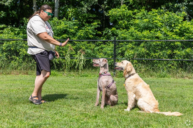 Starr Farm Dog Park in Appletree Point is a great place to bring your dog for some exercise.