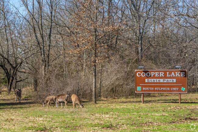Sulphur Springs residents can take the short twenty-minute drive north and enjoy Cooper Lake State Park.