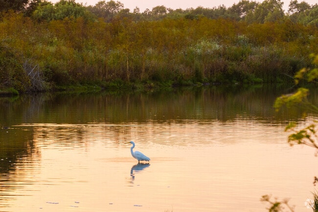 Bayside is also home to a beautiful wetland preserve.