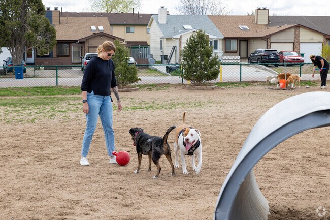 Eastridge Dog Park offers large spaces for your best friend to run and play.