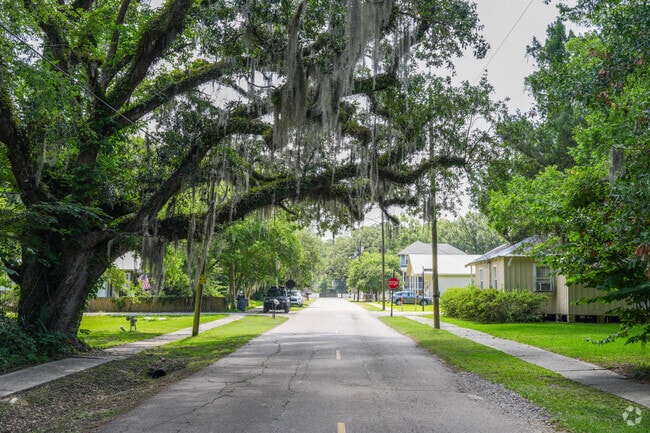Madisonville’s charm lives in its stillness—tree-lined lanes, Spanish moss-covered limbs, and a rhythm only small towns know.