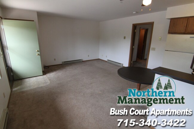 Bush Court, Stevens Point, WI 54481 - photo 7