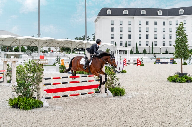 Watch the action at The World Equestrian Complex near Southwest Ocala.