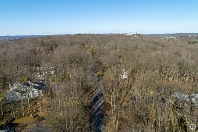 Most streets in Briarcliff Manor are lined with mature trees.